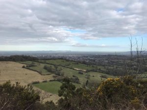 a view from after Lineover Woods