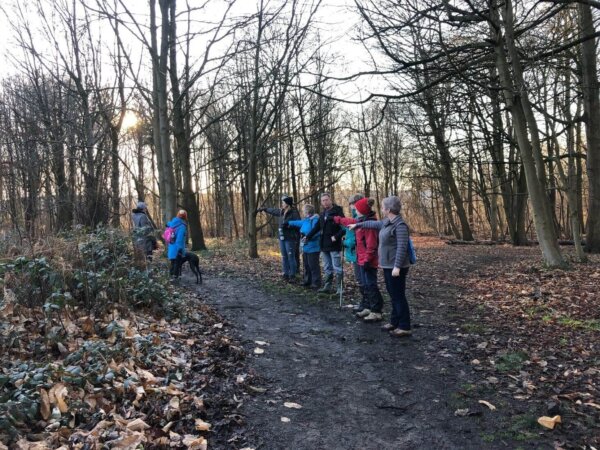 HARLESTONE FIRS - (AG22) - Image 3