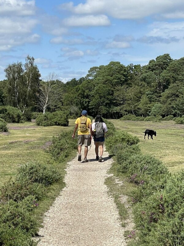 ENCHANTING NEW FOREST TRAIL & LEPE BEACH WEEKEND 26 - Image 3