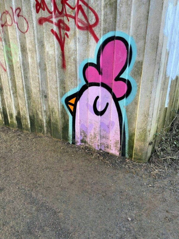 ROTHERSTHORPE DUCK WALK (AG58) - Image 7