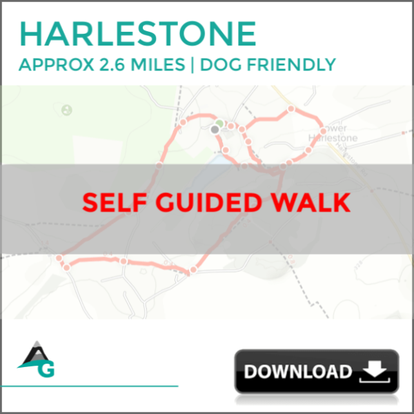 HARLESTONE LOOP (AG07) - Image 8
