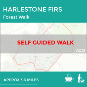 HARLESTONE FIRS - (AG22)