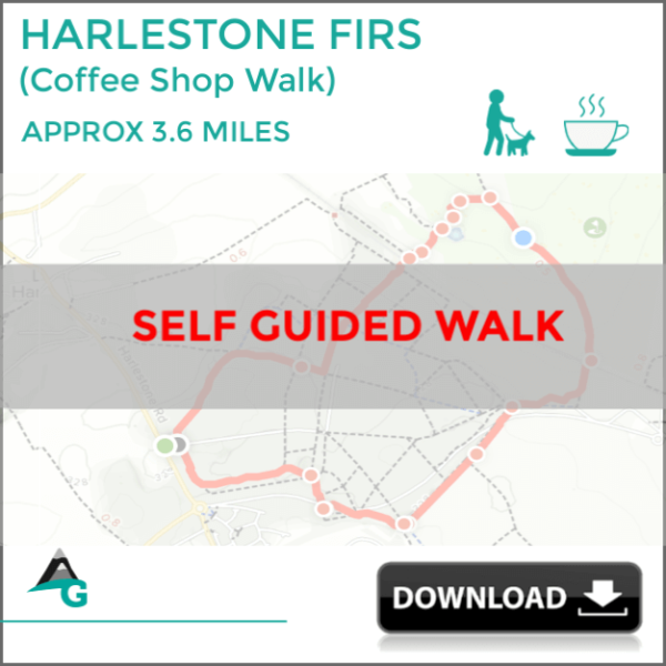 HARLESTONE FIRS - (AG22) - Image 6