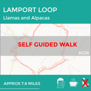 LAMPORT LOOP (AG28)