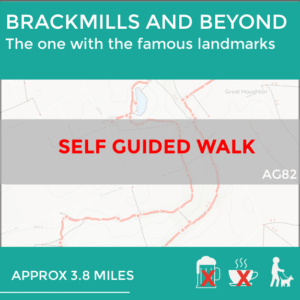 BRACKMILLS AND BEYOND (AG82)
