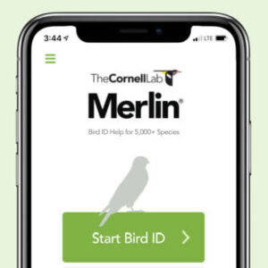 MERLIN - Look & Learn App