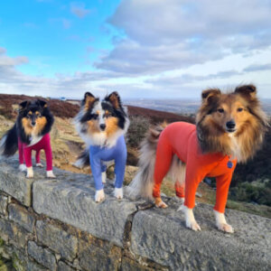 SUMMER SUIT FOR DOGS - EQUAFLEECE