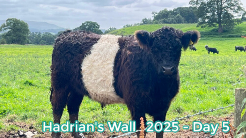 Hadrian's Wall day 5