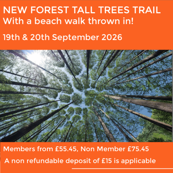 ENCHANTING NEW FOREST TRAIL & LEPE BEACH WEEKEND 26