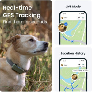 Tractive Smart Dog Tracker