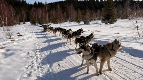 Blog feature image (38)