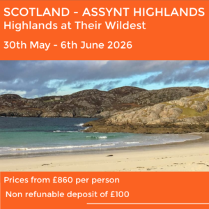 Scottish Adventure - The Assynt Highlands Experience
