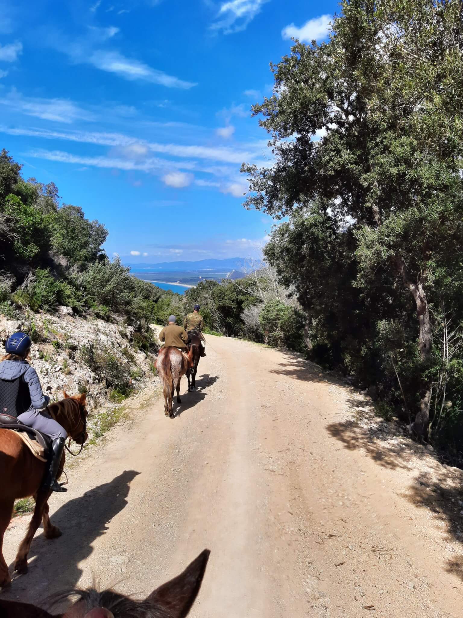 Lake Garda 2026 - An Alpine Adventure - Image 8