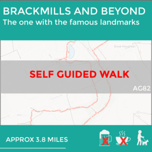 BRACKMILLS AND BEYOND (AG82)