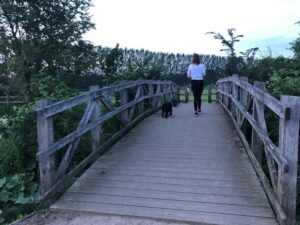 Towcester walk