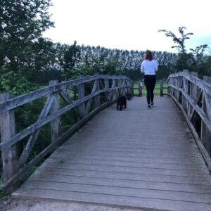 Towcester walk