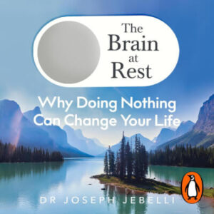 THE BRAIN AT REST