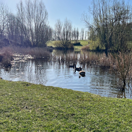 Al the Shenleys, Milton Keynes Walk