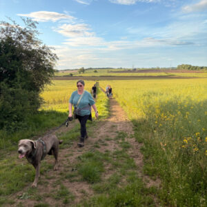 Off the Beaten Track, Rugby walk