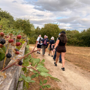 Barby Lollipop Walk – 3.5 Miles
