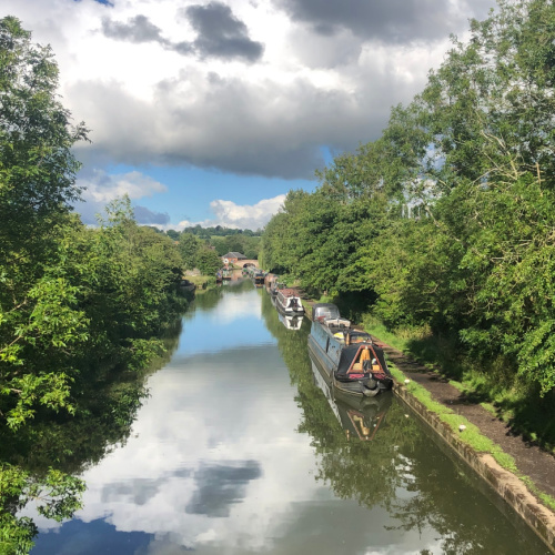 Braunston Covert