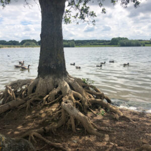 Pitsford Reservior Walk 7 miles