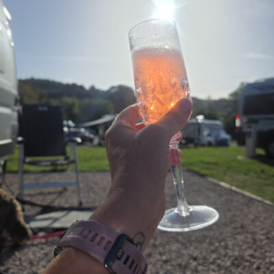 Pink Fizz in glorious Devon evening sunshine