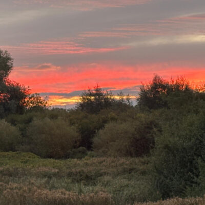 Pink sunrise