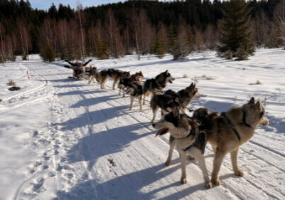 Blog-feature-image-38